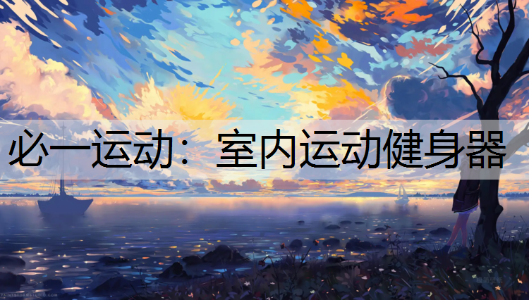 室内运动健身器