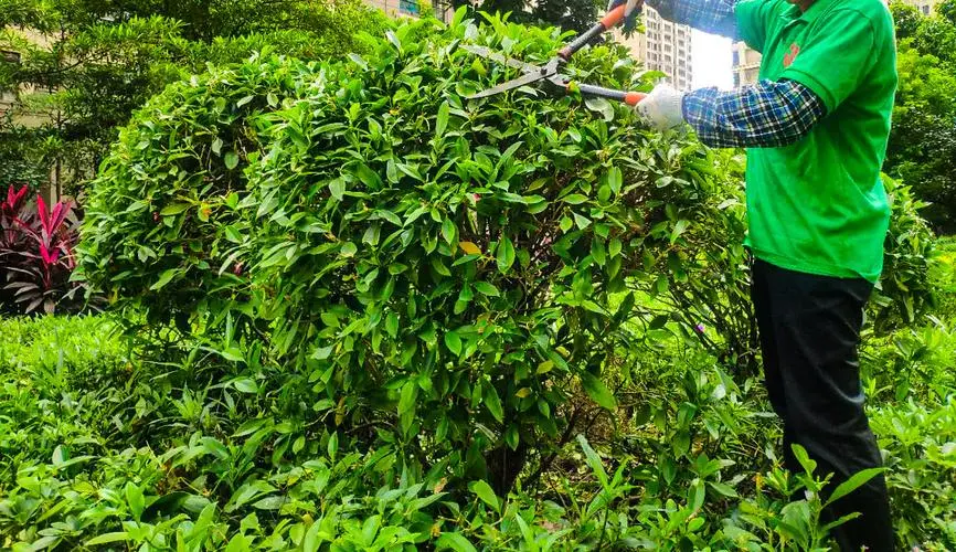 儿童网球拍23寸手胶