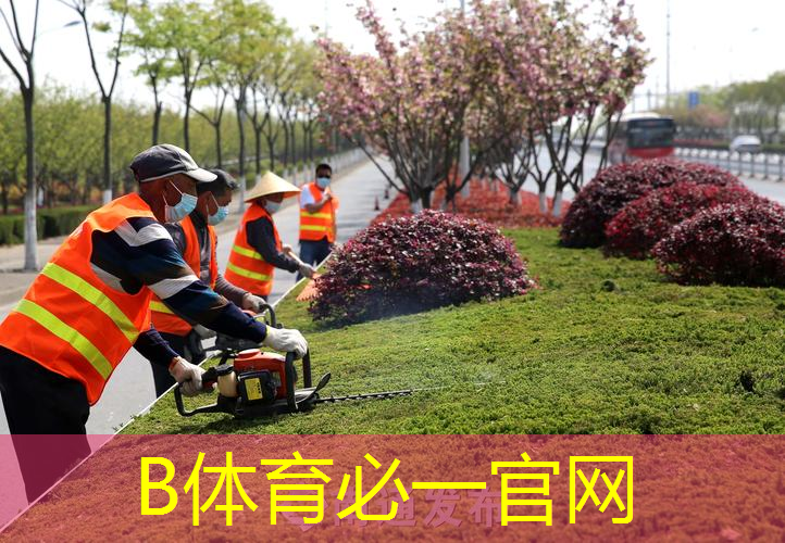 网球拍和打法的区别在哪