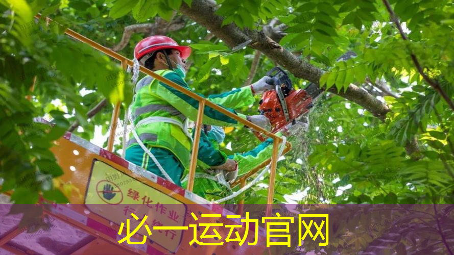 网球拍怎么滑到地面上的